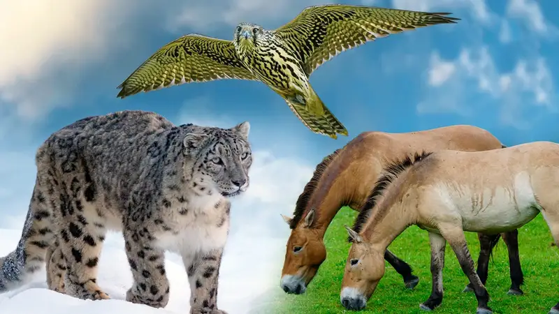 Численность каких животных в Казахстане вызывает опасения