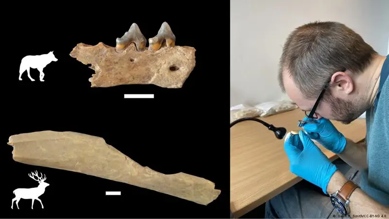 Ежелгі адамның қалдығы