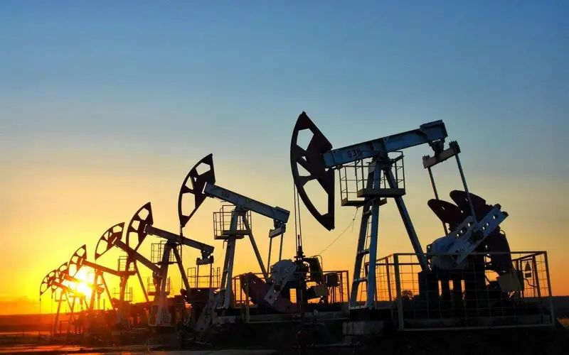 Oil