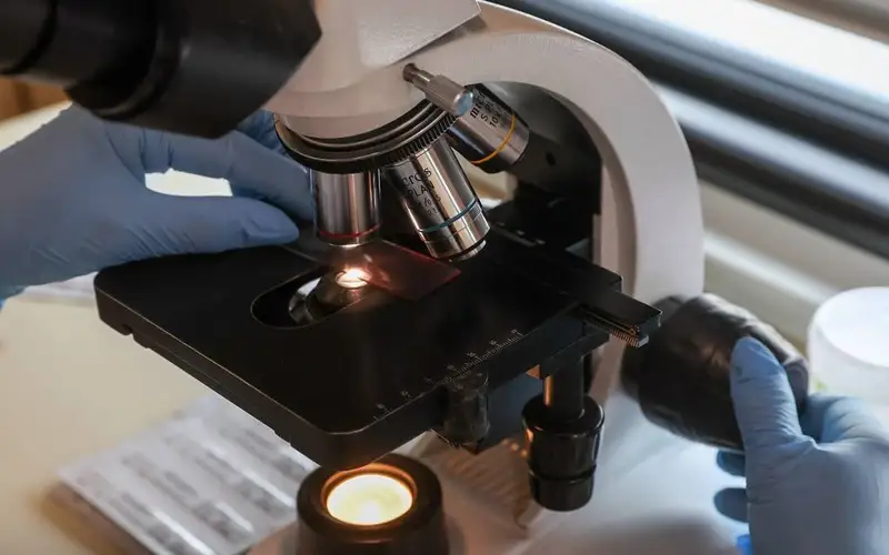 Биологи создали генную терапию от смертельно опасной дисфункции иммунитета