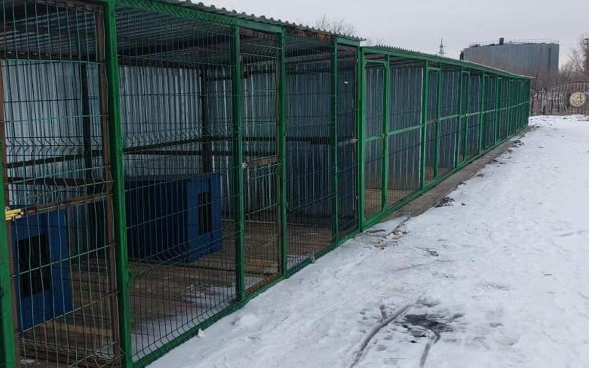 Места временного содержания животных. Места временного содержания животных