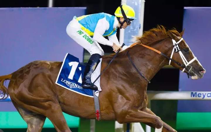 Күйеуі іссапарда жүргенде өгей шешесі ұлымен жыныстық қатынасқа түседі. Порно мама шұлықта пісіріп, ұлын оятты