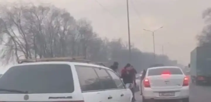 Алматы маңындағы тасжолда көлік жүргізушілер төбелесіп қалды