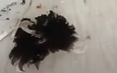 úı