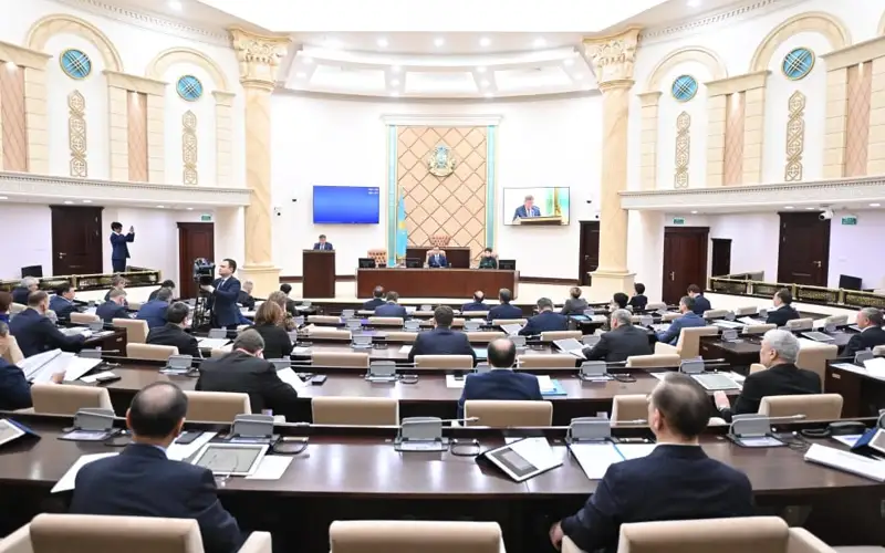 Palata otyrysy