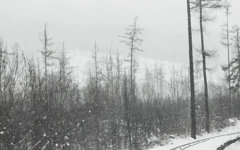 метель, снег, буран