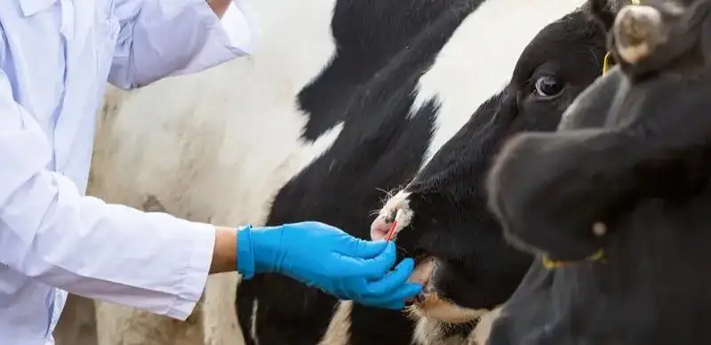 ветпрепараты