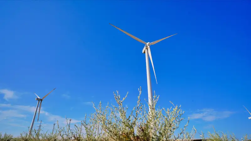 One year later: unveiling progress of Kazakhstan's carbon neutrality strategy