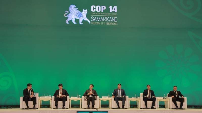保护野生动物迁徙物种公约第十四届大会在乌兹别克斯坦开幕