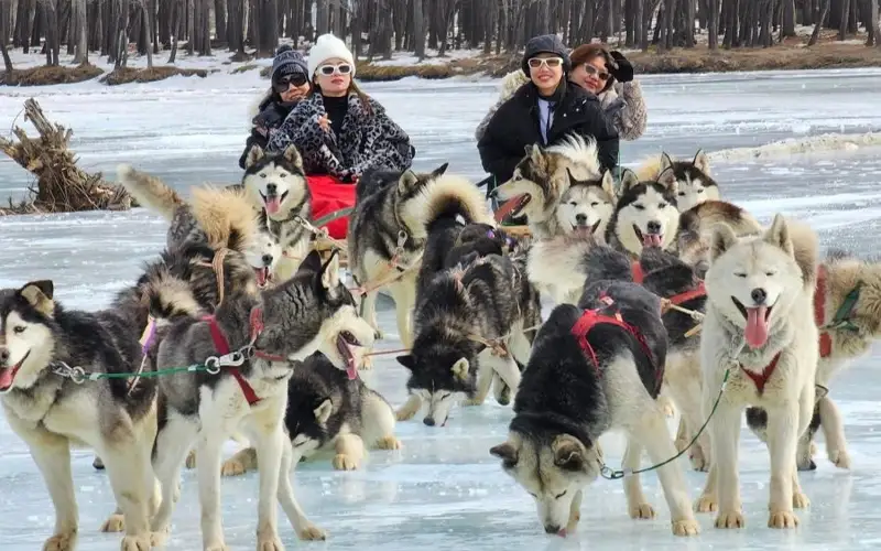 winter events