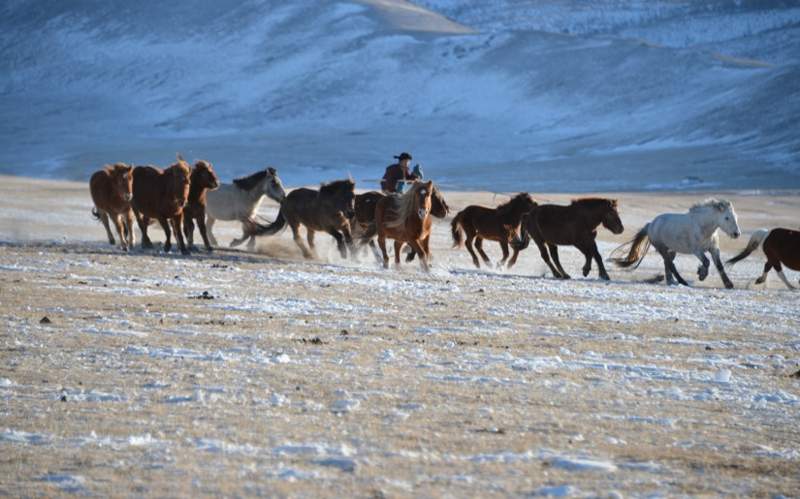 winter in mongolia winter in mongolia