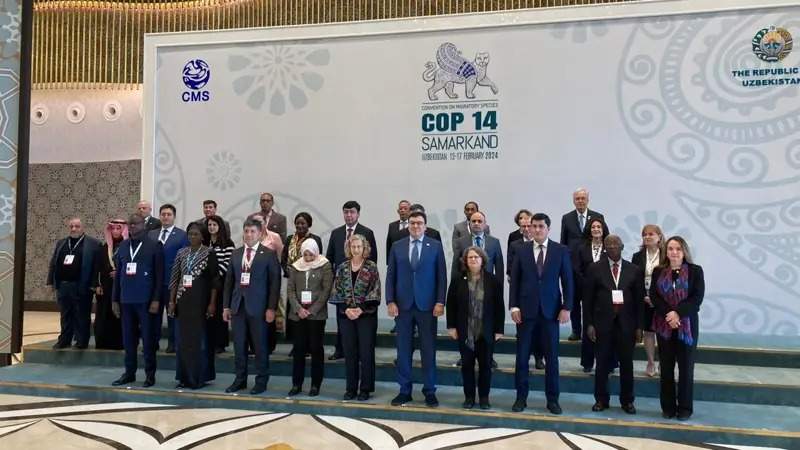 Турон йўлбарси 2026 йилгача Қозоғистонга қайтиши мумкин Турон йўлбарси 2026 йилгача Қозоғистонга қайтиши мумкин