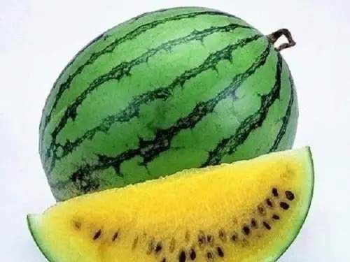 сариқ тарвуз сариқ тарвуз