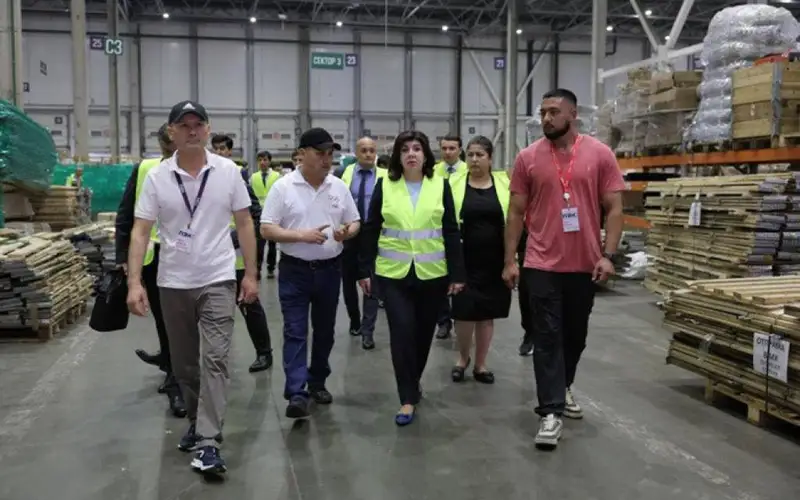 Тожикистонда меҳнат миграцияси диверсификация қилинади