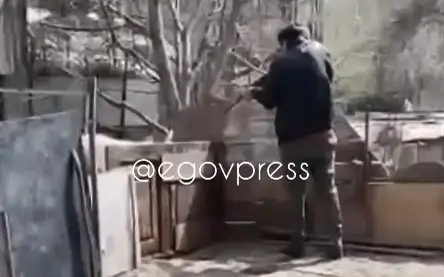 Shoshqany atyp óltirdi