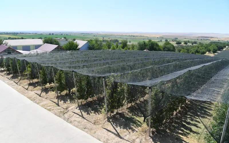 Turkistan region irrigation problems