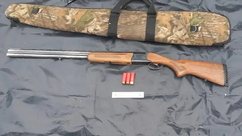 Браконьера, застрелившего краснокнижного джейрана, задержали в Жамбылской области