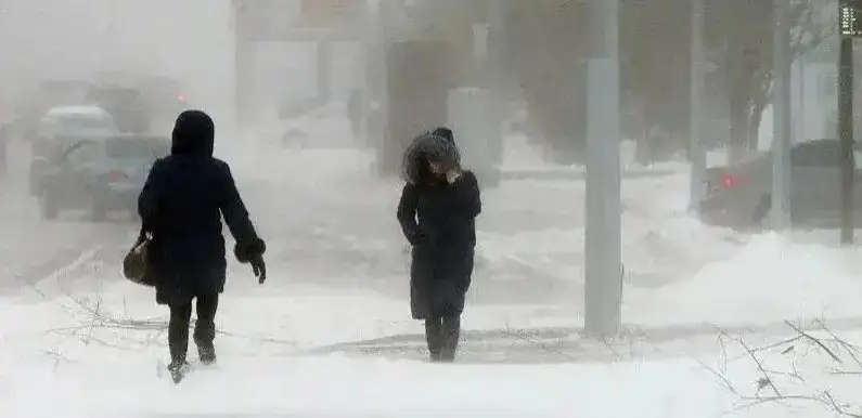 Kazakhstan to brace for strong wind and fog Feb 15