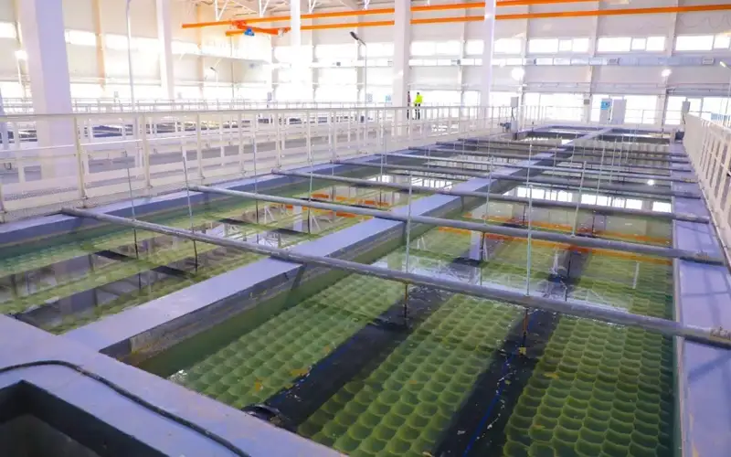 Фото: Мәжілістің баспасөз қызметі