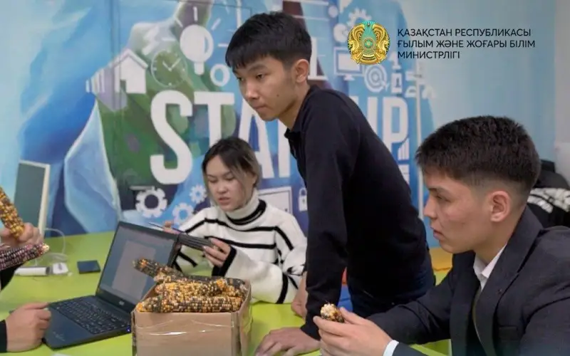 Казахстанский студент Аскар Рахым вывел новый сорт радужной кукурузы 