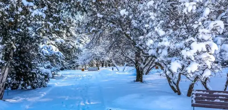 Kazakhstan weather forecast for Feb 18