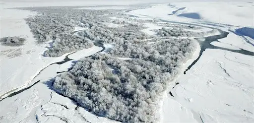 Синьцзян, СУАР