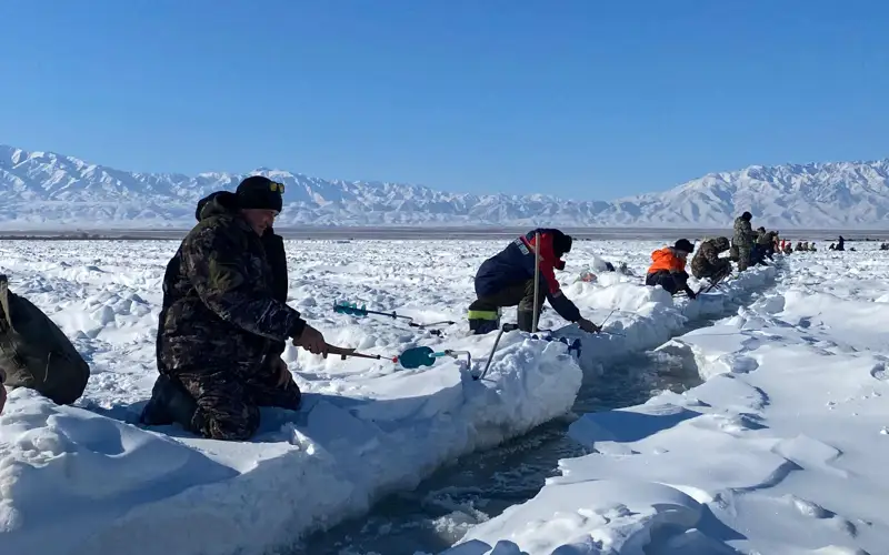 балық аулау