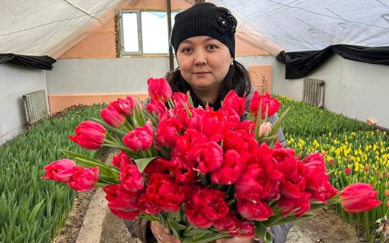 тюльпаны цветы