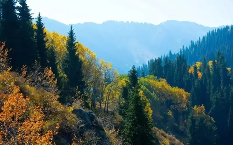 Kazakhstan landscapes