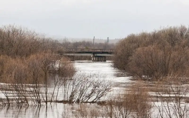 Floods