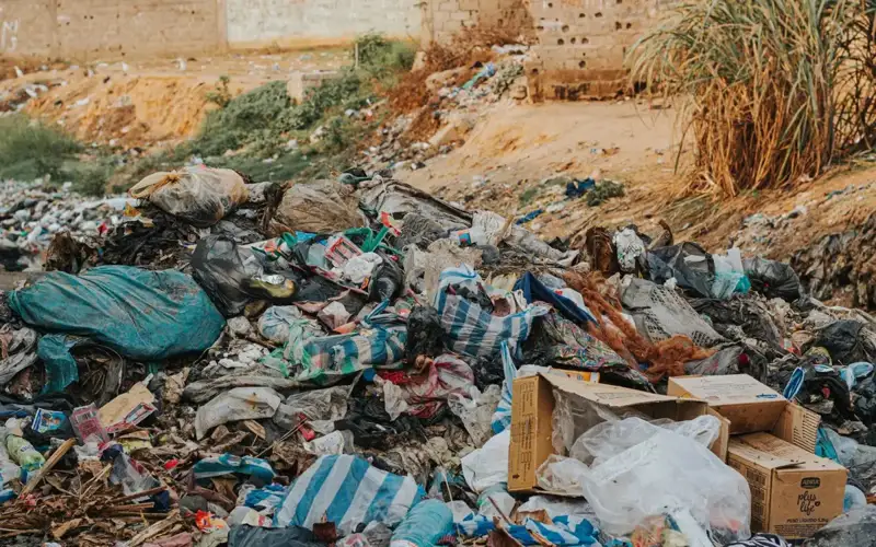 Waste