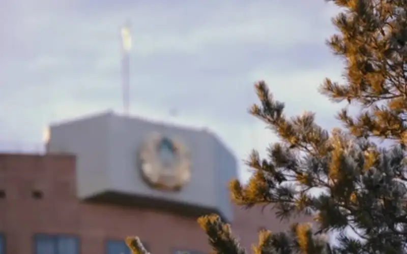 Деятельность транснациональной организованной преступной группы пресекли в Казахстане