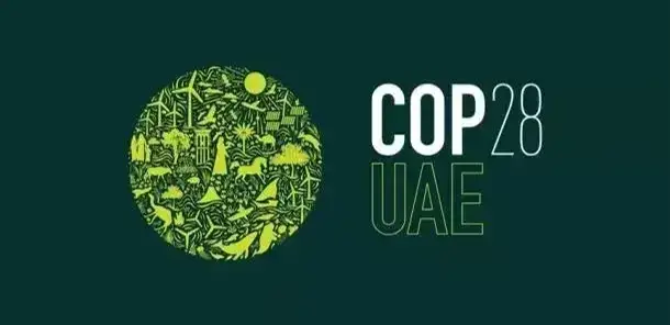 国际能源署呼吁落实COP28能源相关承诺