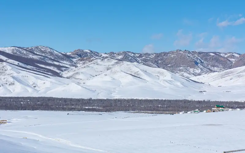 Mongolia to start burying livestock frozen to death in April