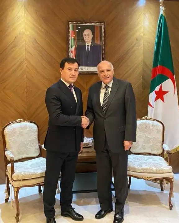 Kazakh, Algerian foreign ministries hold 2nd round of political consultations 