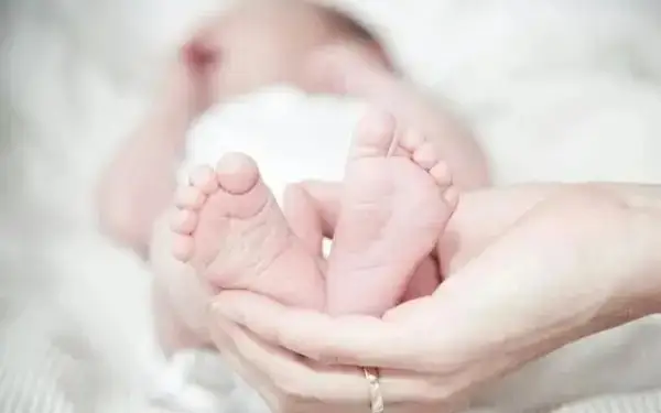 туғилиш даражаси 