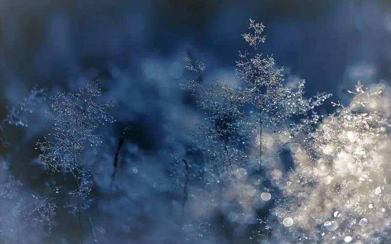Kazakhstan to brace for unstable weather Nov 5