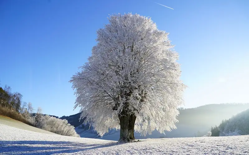 Frosty weather, no precipitation forecast in Kazakhstan Feb 22