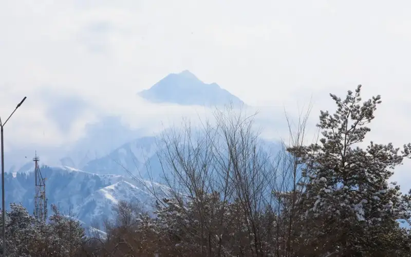 Фото: Александр Павский/ Kazinform
