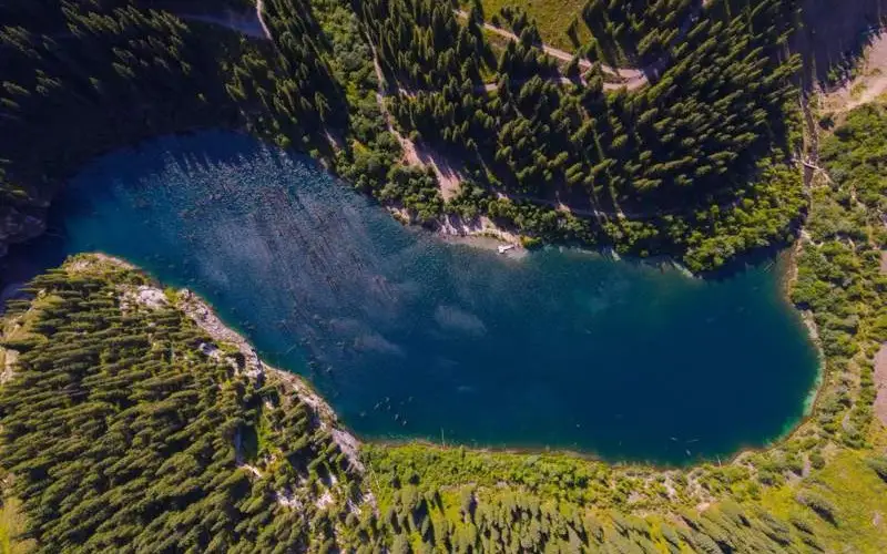 Природа, озеро Каинды, лес