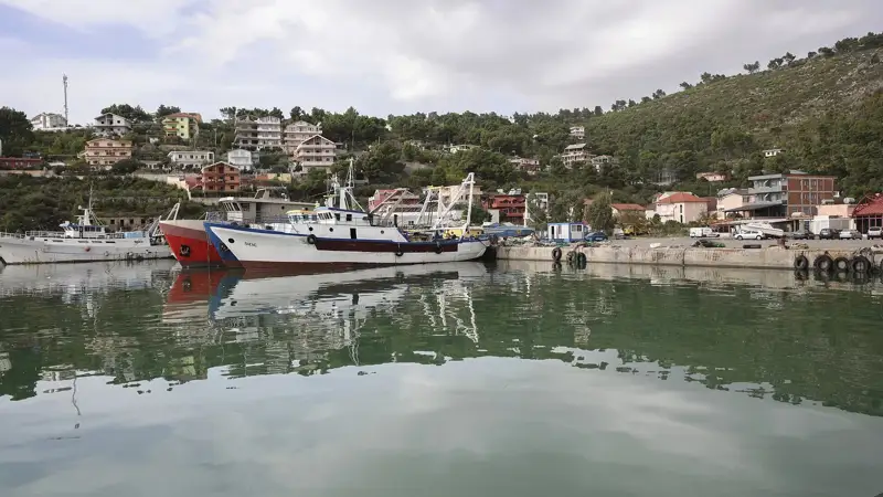 mıgrant