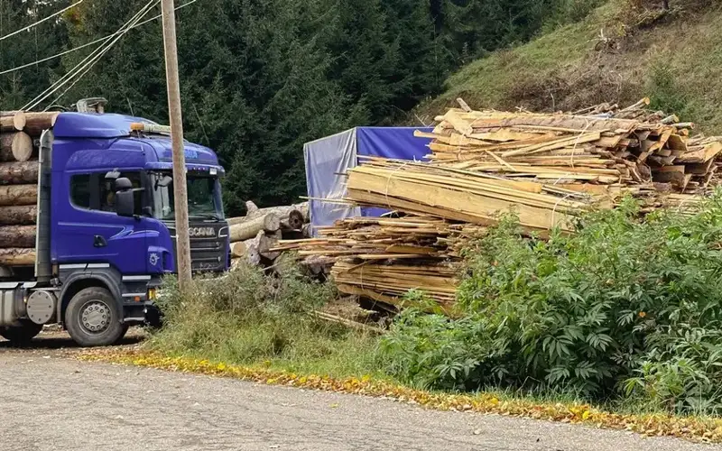 Евросоюз ужесточил наказания за экологические преступления