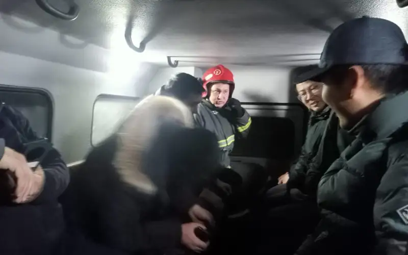 пресс-службы ДЧС Жамбылской области