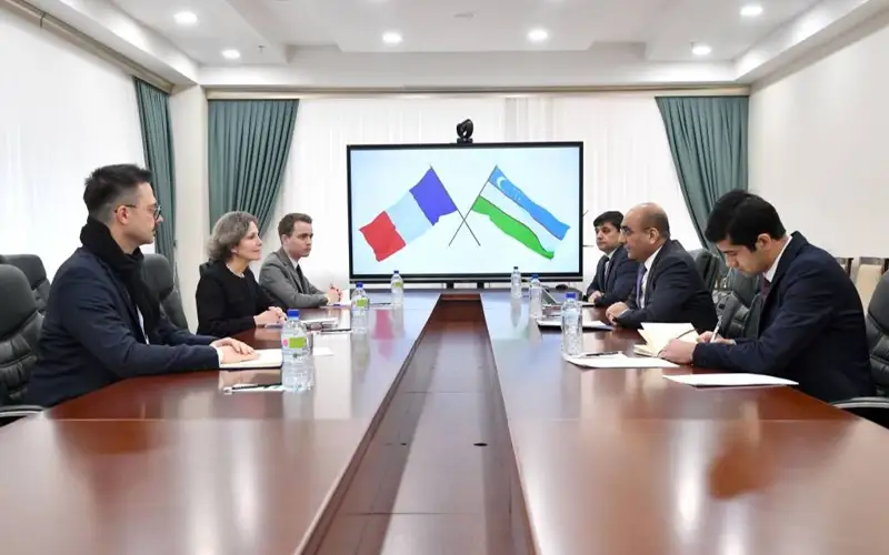 Uzbekistan, France discuss  joint investment projects  
