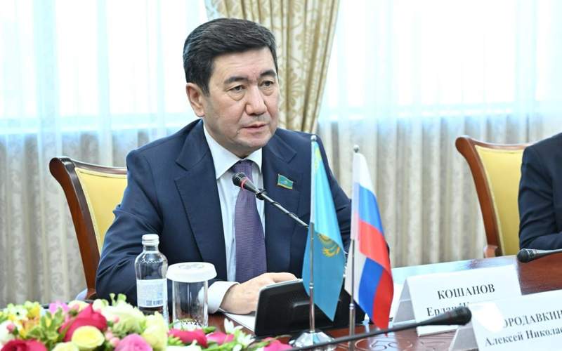 Спикер Мажилиса Ерлан Кошанов принял Чрезвычайного и полномочного посла Российской Федерации в Казахстане Алексея Бородавкина