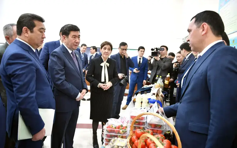 Выдано 12,7 тысячи микрокредитов под 2,5% годовых на 80 млрд тенге — проект «Ауыл аманаты»