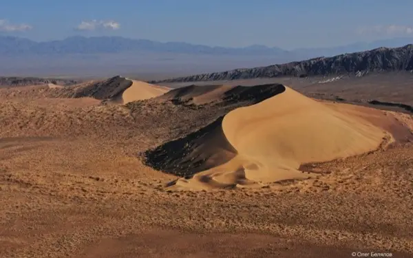 жабайы жануарлар саны