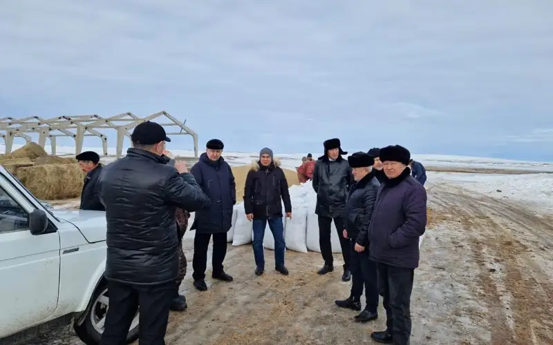 Падеж лошадей в Акмолинской области:  представители МСХ выехали с проверкой