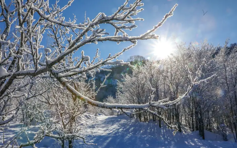 Тұман, көктайғақ: 2 наурызға арналған ауа райы болжамы