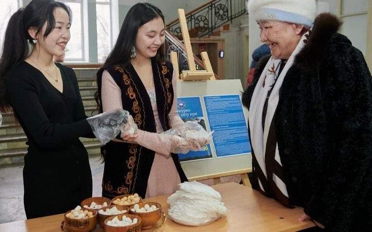 Куртом угощали студентов в День благодарности в вузе СКО Куртом угощали студентов в День благодарности в вузе СКО